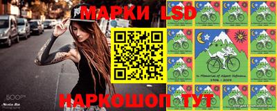 шишки Майкоп
