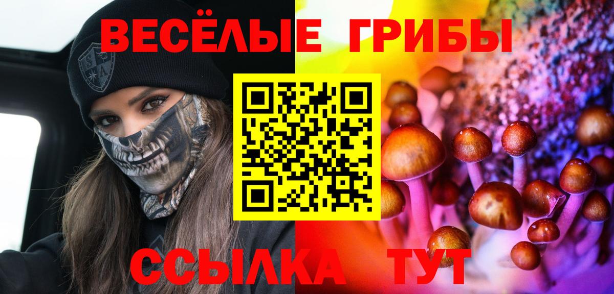 Псилоцибиновые грибы Magic Shrooms  Вход с VPN  сколько стоит  Псилоцибиновые грибы Cubensis  Богданович 