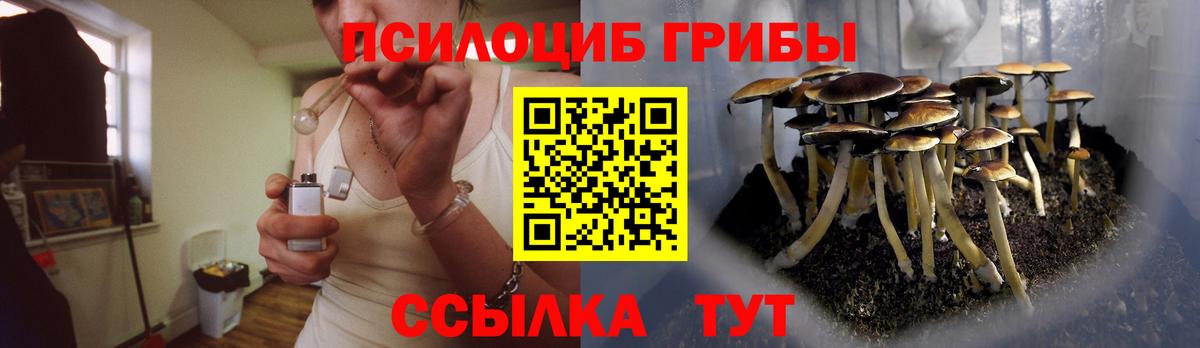 Псилоцибиновые грибы Cubensis Богданович